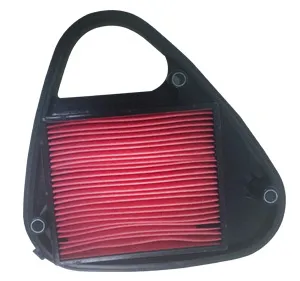 Filtro De Aire Honda Vlx-600/Vt-600