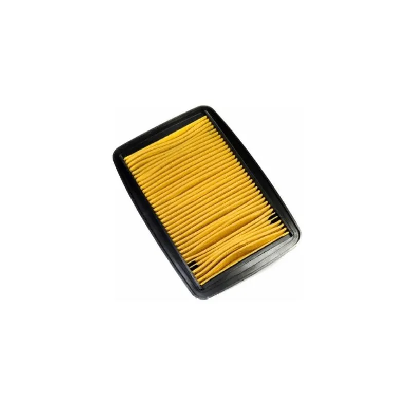 Filtro De Aire Loncin Lx250Gs-2