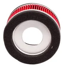 Filtro De Aire Takasaki Champion 150 / Wy150T-28