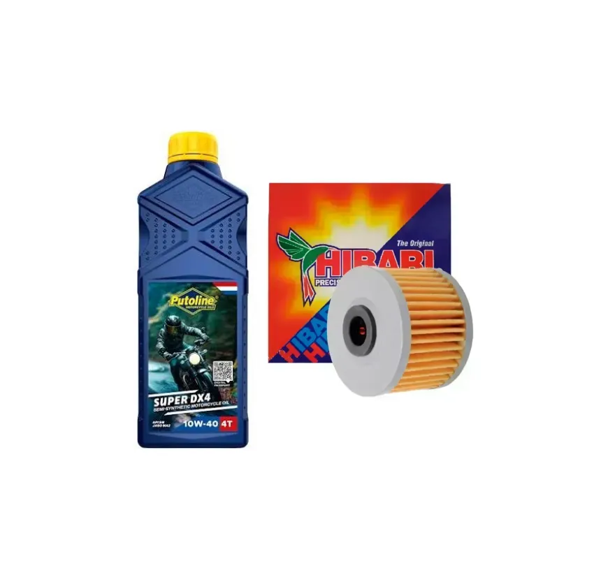 Kit Mantención Putoline 10w40 + Filtro Hibari