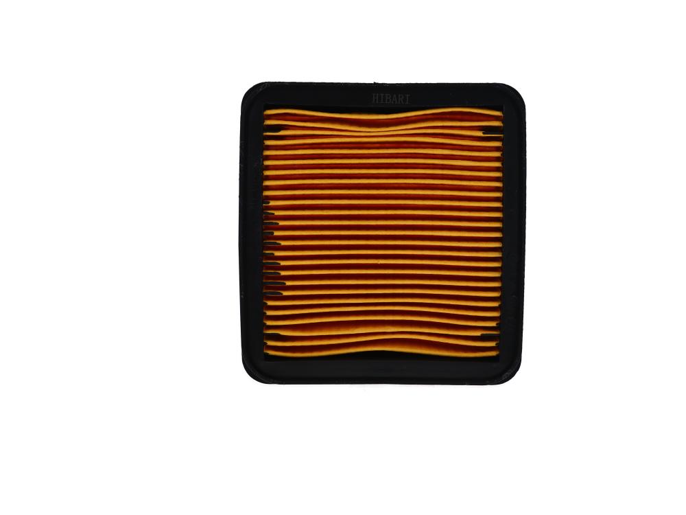 Filtro Aire Rtr 200