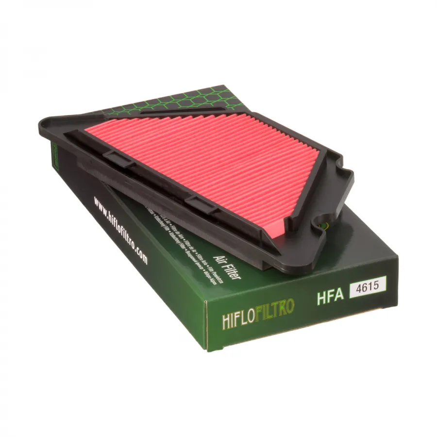 Filtro de Aire Yamaha XJ6 /Diversion/Diversion F 09-